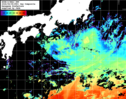 NOAA人工衛星画像:黒潮域, 1日合成画像(2026/06/08UTC)