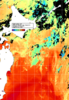 NOAA人工衛星画像:親潮域, 1日合成画像(2026/07/20UTC)