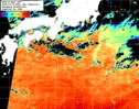 NOAA人工衛星画像:黒潮域, 1日合成画像(2026/07/31UTC)