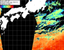 NOAA人工衛星画像:黒潮域, 1日合成画像(2026/08/01UTC)