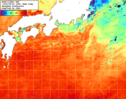 NOAA人工衛星画像:黒潮域, 1週間合成画像(2026/07/29～2026/08/04UTC)