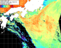 NOAA人工衛星画像:黒潮域, 1日合成画像(2026/08/07UTC)