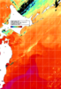 NOAA人工衛星画像:親潮域, 1日合成画像(2026/08/08UTC)