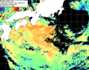 NOAA人工衛星画像:黒潮域, 1日合成画像(2026/08/11UTC)