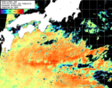 NOAA人工衛星画像:黒潮域, 1日合成画像(2026/08/30UTC)