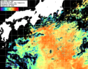 NOAA人工衛星画像:黒潮域, 1日合成画像(2026/09/03UTC)
