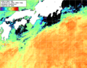 NOAA人工衛星画像:黒潮域, 1週間合成画像(2026/09/06～2026/09/12UTC)