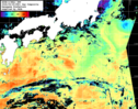 NOAA人工衛星画像:黒潮域, 1日合成画像(2026/09/25UTC)