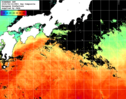 NOAA人工衛星画像:黒潮域, 1日合成画像(2025/06/14UTC)