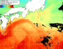 NOAA人工衛星画像:黒潮域, 1日合成画像(2025/06/15UTC)