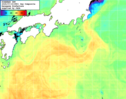 NOAA人工衛星画像:黒潮域, 1日合成画像(2025/07/19UTC)