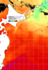 NOAA人工衛星画像:親潮域, 1日合成画像(2025/07/25UTC)