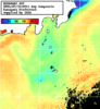 NOAA人工衛星画像:神奈川県近海, 1日合成画像(2025/07/31UTC)