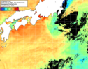 NOAA人工衛星画像:黒潮域, 1日合成画像(2025/08/01UTC)