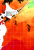 NOAA人工衛星画像:親潮域, 1日合成画像(2025/08/04UTC)