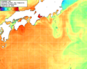 NOAA人工衛星画像:黒潮域, 1日合成画像(2025/08/06UTC)