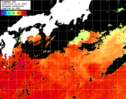 ひまわり人工衛星:黒潮域,11:59JST,1時間合成画像