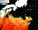 ひまわり人工衛星:黒潮域,10:59JST,1時間合成画像