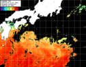 ひまわり人工衛星:黒潮域,12:59JST,1時間合成画像