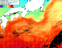 NOAA人工衛星画像:黒潮域, 1日合成画像(2025/11/01UTC)