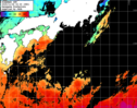 ひまわり人工衛星:黒潮域,12:59JST,1時間合成画像