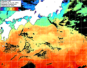 ひまわり人工衛星:黒潮域,10:59JST,1時間合成画像