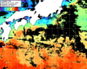 ひまわり人工衛星:黒潮域,12:59JST,1時間合成画像