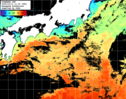 ひまわり人工衛星:黒潮域,20:59JST,1時間合成画像