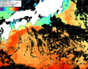 ひまわり人工衛星:黒潮域,14:59JST,1時間合成画像