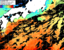 ひまわり人工衛星:黒潮域,11:59JST,1時間合成画像