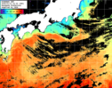 ひまわり人工衛星:黒潮域,08:59JST,1時間合成画像
