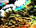 ひまわり人工衛星:黒潮域,11:59JST,1時間合成画像