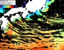 ひまわり人工衛星:黒潮域,08:59JST,1時間合成画像