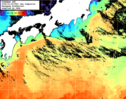 NOAA人工衛星画像:黒潮域, 1日合成画像(2026/01/25UTC)