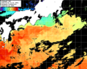 ひまわり人工衛星:黒潮域,19:59JST,1時間合成画像