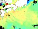 NOAA人工衛星画像:黒潮域, 1日合成画像(2026/08/10UTC)