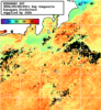 NOAA人工衛星画像:神奈川県近海, 1日合成画像(2026/09/02UTC)