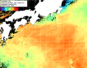 NOAA人工衛星画像:黒潮域, 1日合成画像(2026/09/03UTC)