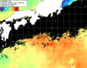 NOAA人工衛星画像:黒潮域, 1日合成画像(2026/09/05UTC)