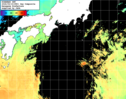 NOAA人工衛星画像:黒潮域, 1日合成画像(2026/09/19UTC)